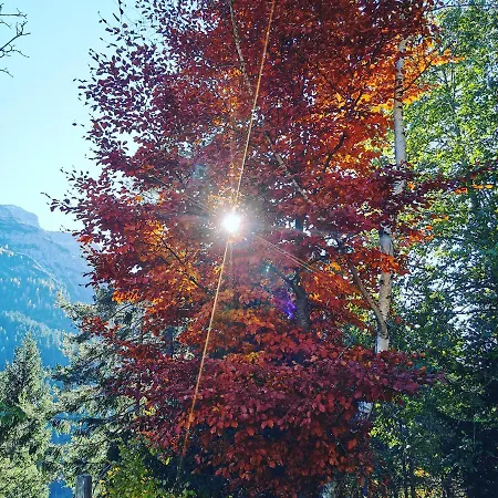 Casa vacanze Hochvogel