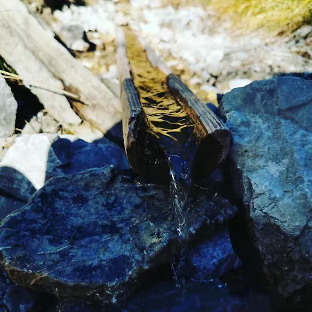 Hochvogel *