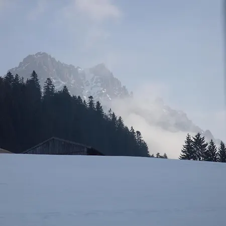 Hochvogel