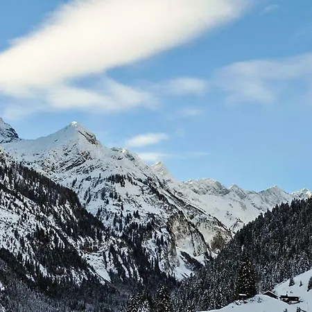 Hochvogel *